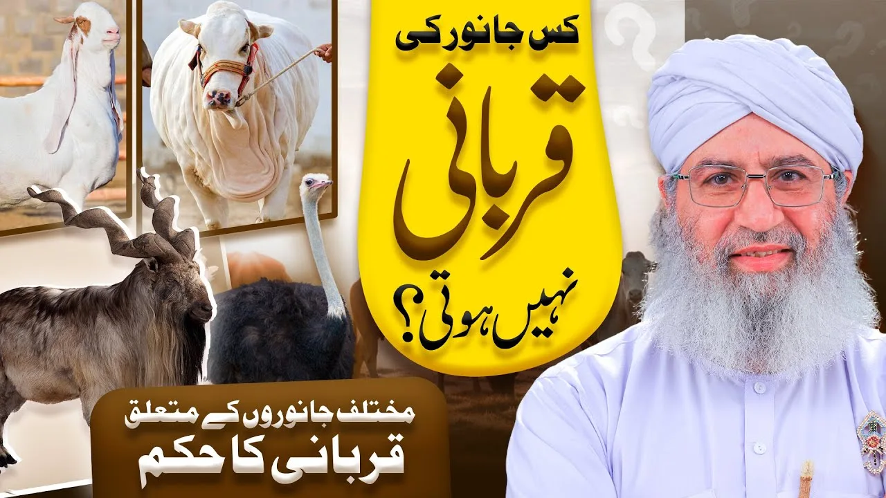 Kis Janwar Ki Qurbani Nahi Hoti? | Mukhtalif Janweron Say Mutalliq Qurbani Ka Hukum | Bakra Eid 2024
